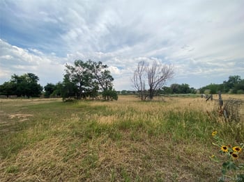 12380 York St, Thornton, CO 80241