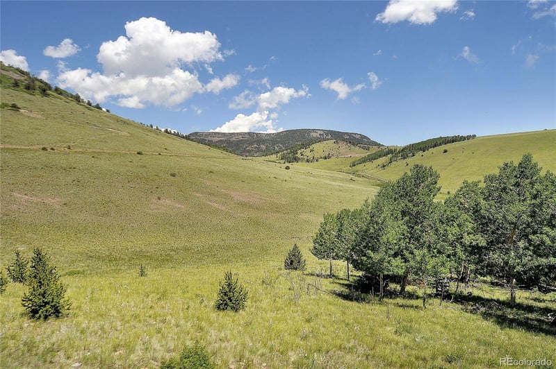 1194 Nesterville Rd, Cotopaxi, CO 81223