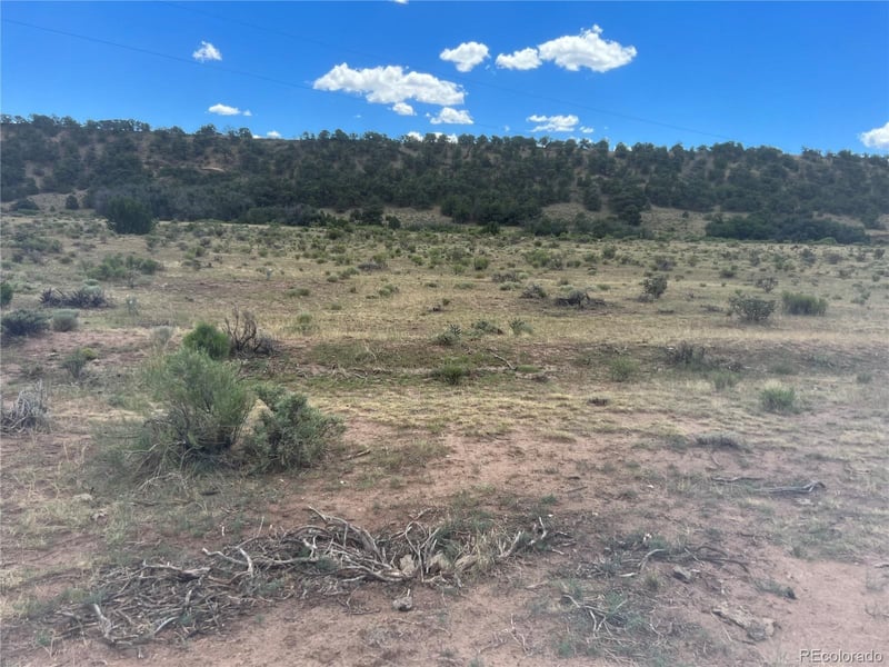 County Rd 530, Gardner, CO 81040