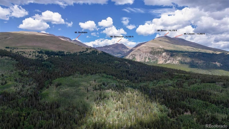 2631 Co Rd 12, Alma, CO 80440