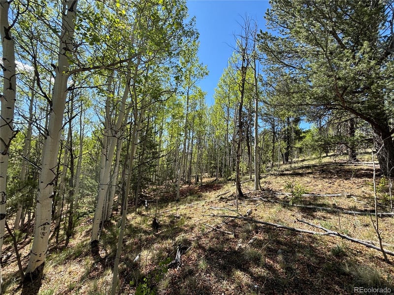 157 Crow Ct, Como, CO 80432
