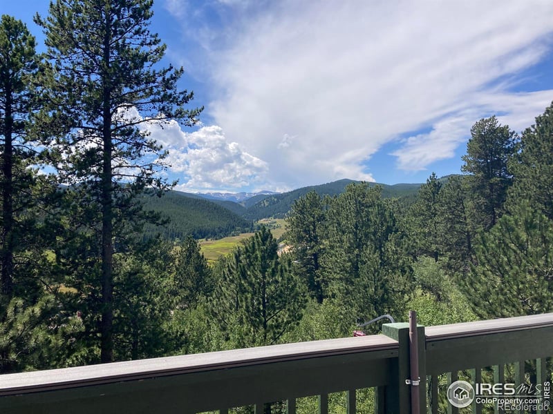 188 Patricia Rd, Rollinsville, CO 80474