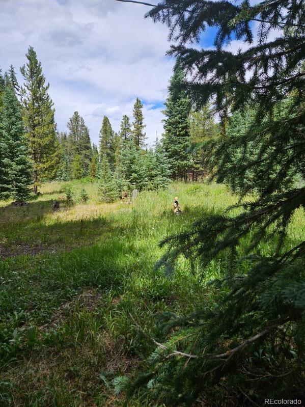 19 Hinterland Trl, Blue River, CO 80424