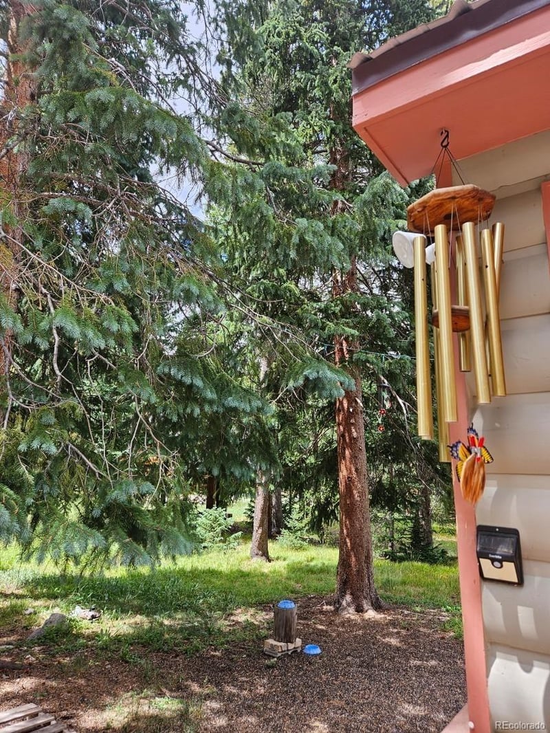 19 Hinterland Trl, Blue River, CO 80424
