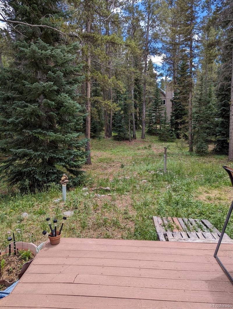 19 Hinterland Trl, Blue River, CO 80424