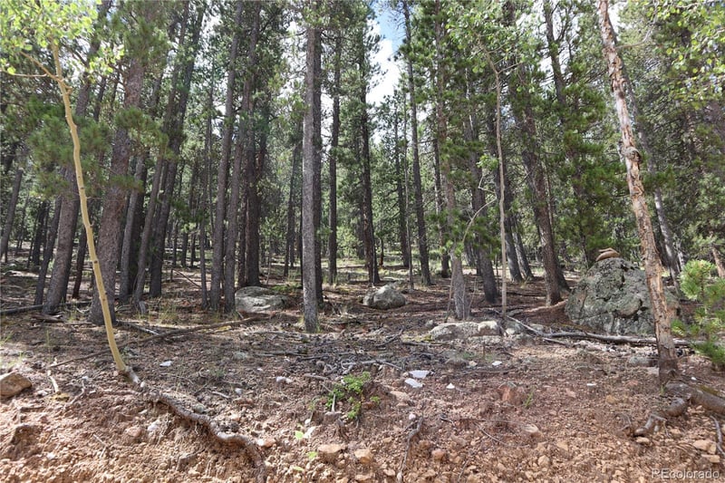 430 Lakeview Rd Lot 10, 11, 12 AND 13, Bailey, CO 80421