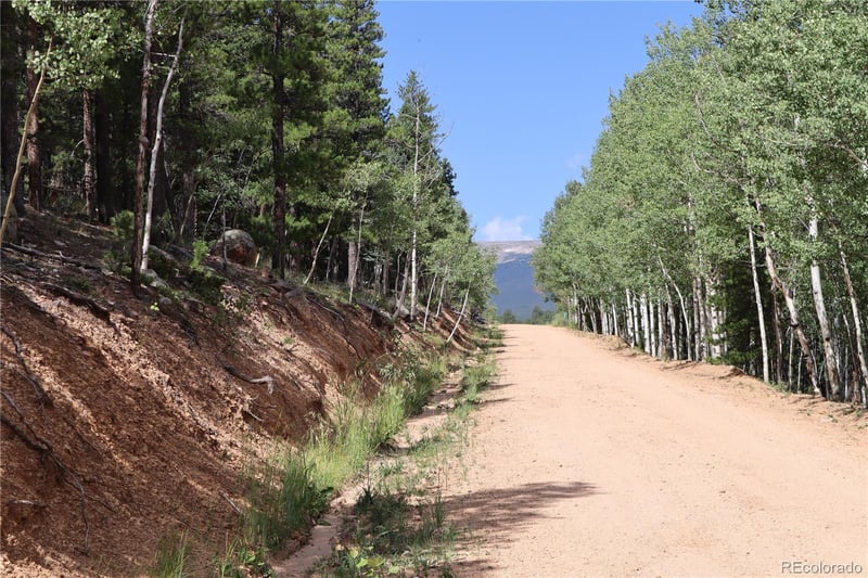 430 Lakeview Rd Lot 10, 11, 12 AND 13, Bailey, CO 80421