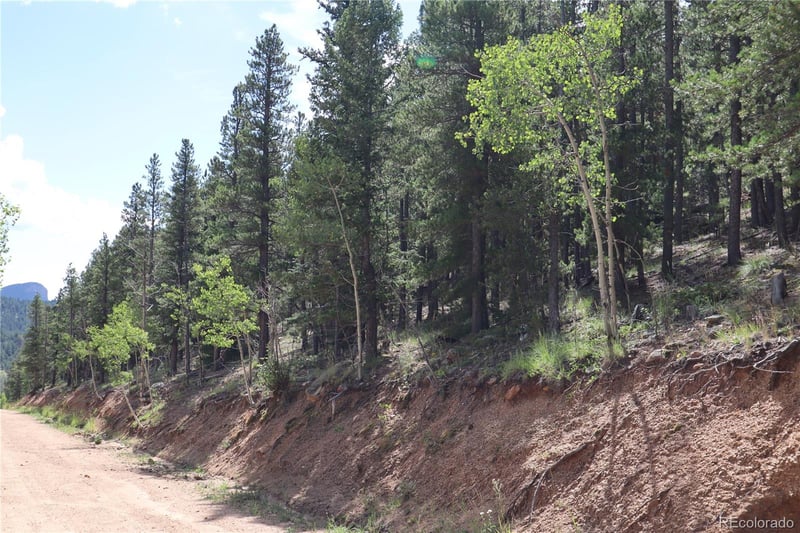 430 Lakeview Rd Lot 10, 11, 12 AND 13, Bailey, CO 80421
