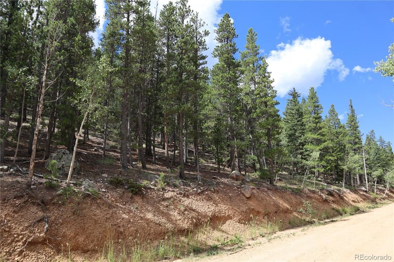 430 Lakeview Rd Lot 10, 11, 12 AND 13, Bailey, CO 80421