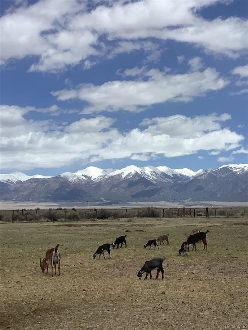 18050 State Highway 17, Moffat, CO 81143