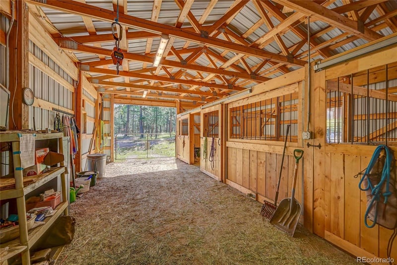 411 Spring Dr, Pine, CO 80470