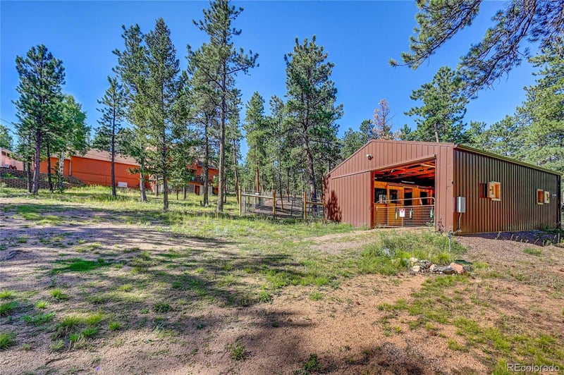 411 Spring Dr, Pine, CO 80470