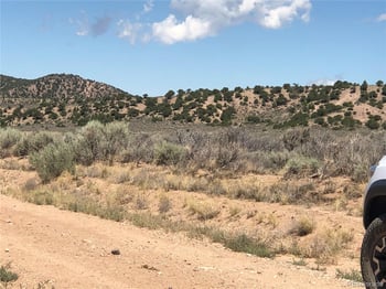 20965 Budweiser Rd, Fort Garland, CO 81133