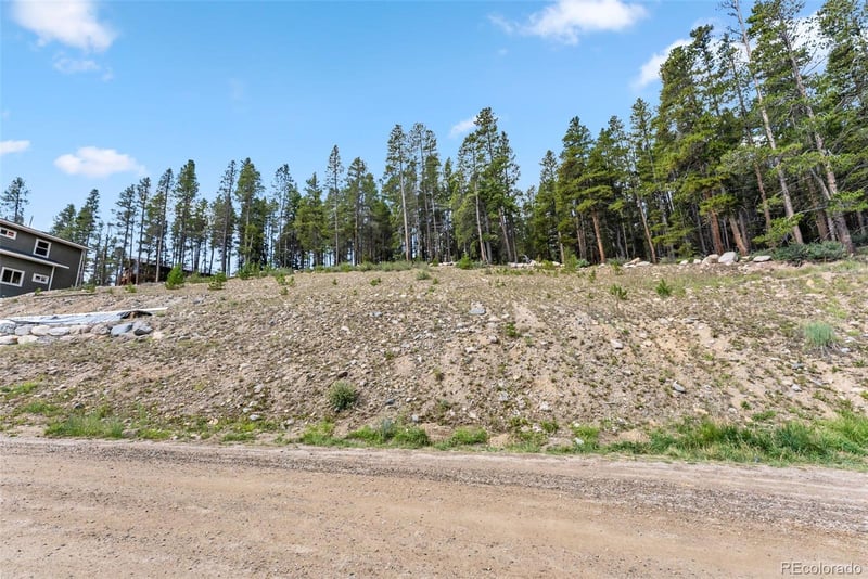 165 Spruce St, Alma, CO 80420