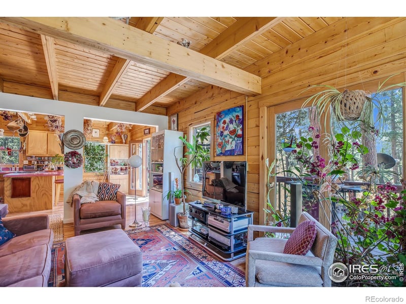 92 Tilghman Rd, Ward, CO 80481