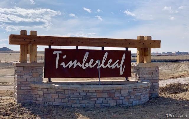 8386 132nd Dr, Thornton, CO 80602