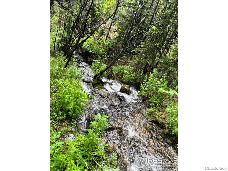 42217 Peak To Peak, Ward, CO 80481