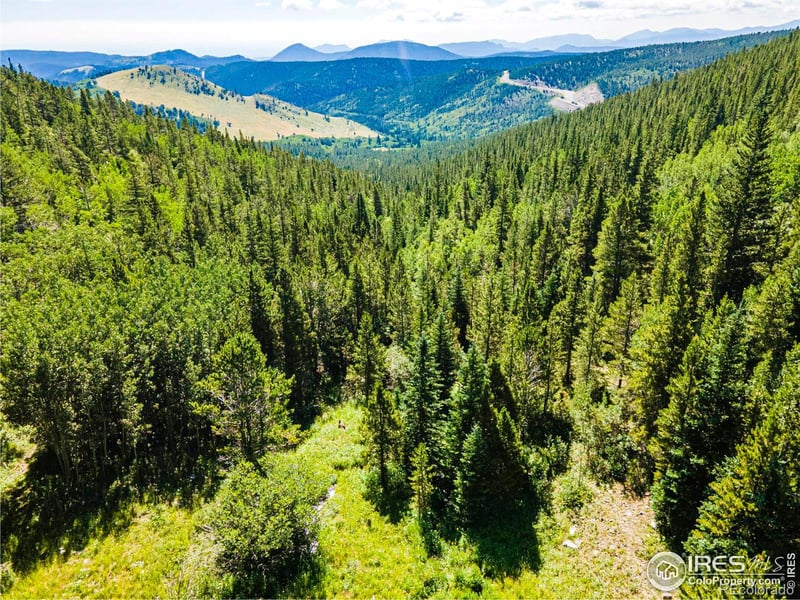42217 Peak To Peak, Ward, CO 80481