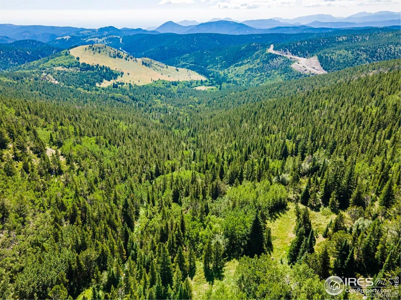 42217 Peak To Peak, Ward, CO 80481