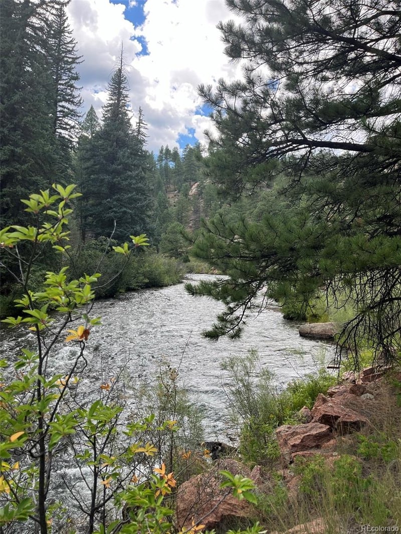 168 Holmes Gulch Way, Bailey, CO 80421