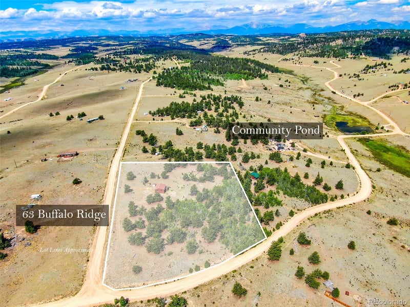 63 Buffalo Ridge Rd, Como, CO 80432