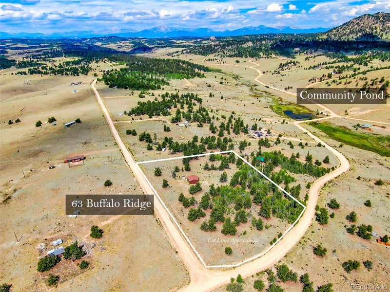 63 Buffalo Ridge Rd, Como, CO 80432