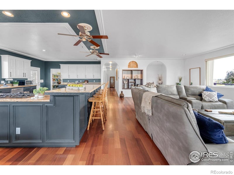 1154 W Fork Way, Watkins, CO 80137