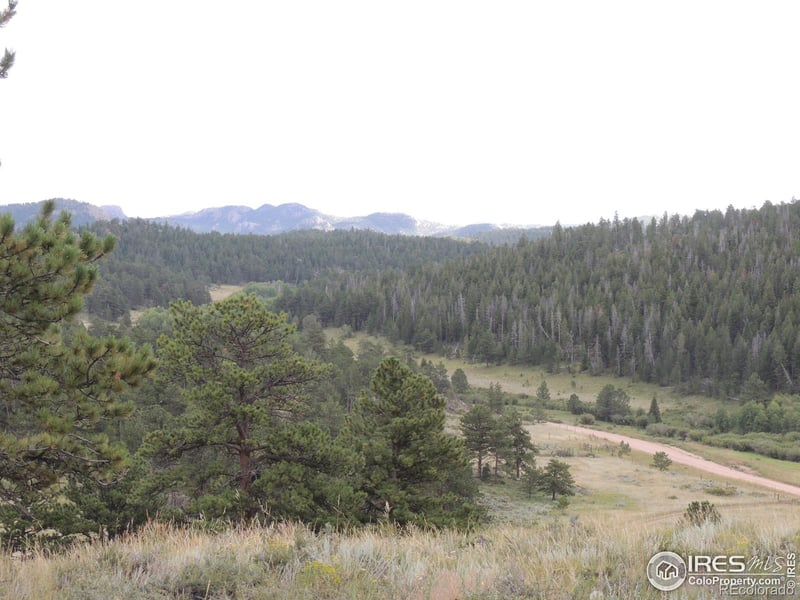 20920 W County Rd 80c Rd W, Livermore, CO 80536