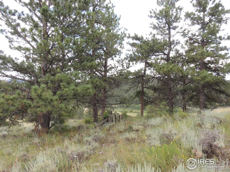 20920 W County Rd 80c Rd W, Livermore, CO 80536