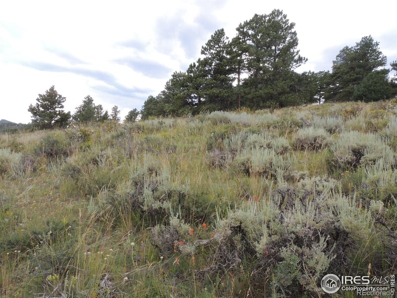 20920 W County Rd 80c Rd W, Livermore, CO 80536