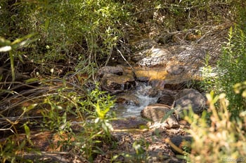 Balanced Rock Rd, Palmer Lake, CO 80133