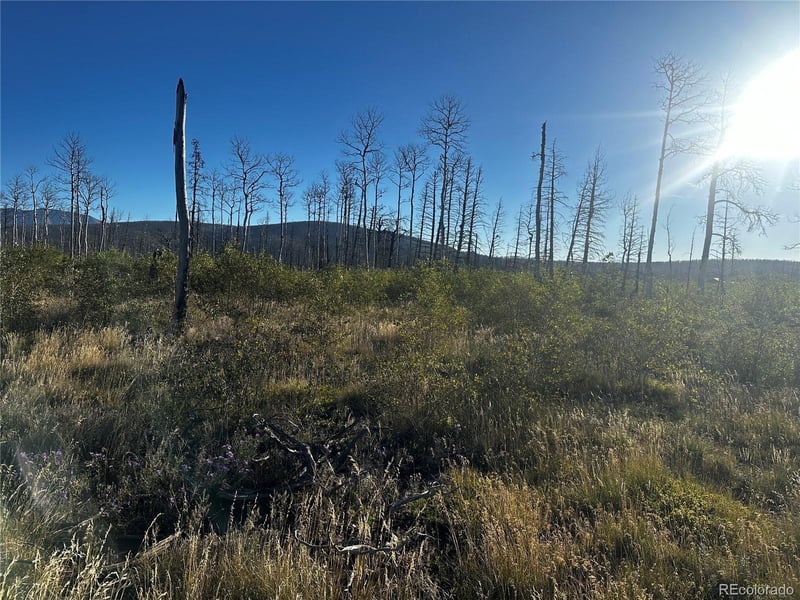 1312 Claytor Ln Lot 1312, Fort Garland, CO 81133