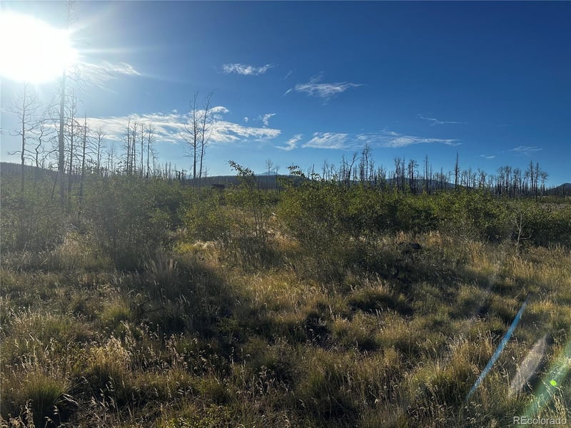 1312 Claytor Ln Lot 1312, Fort Garland, CO 81133