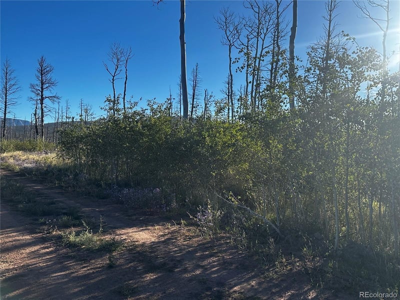 1312 Claytor Ln Lot 1312, Fort Garland, CO 81133