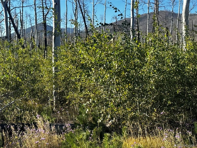 1310 Claytor Ln, Fort Garland, CO 81133