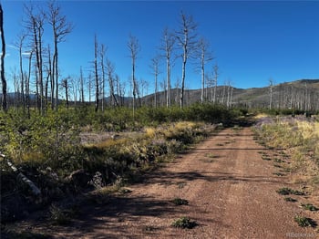 1310 Claytor Ln, Fort Garland, CO 81133