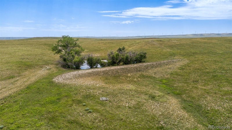 31875 W Ramah Rd, Ramah, CO 80832