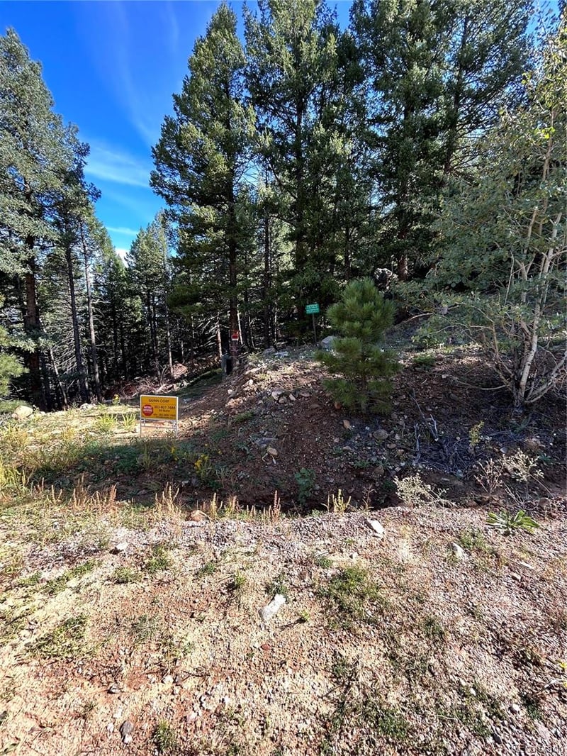 Tbd Elk Mountain Trl, Littleton, CO 80127