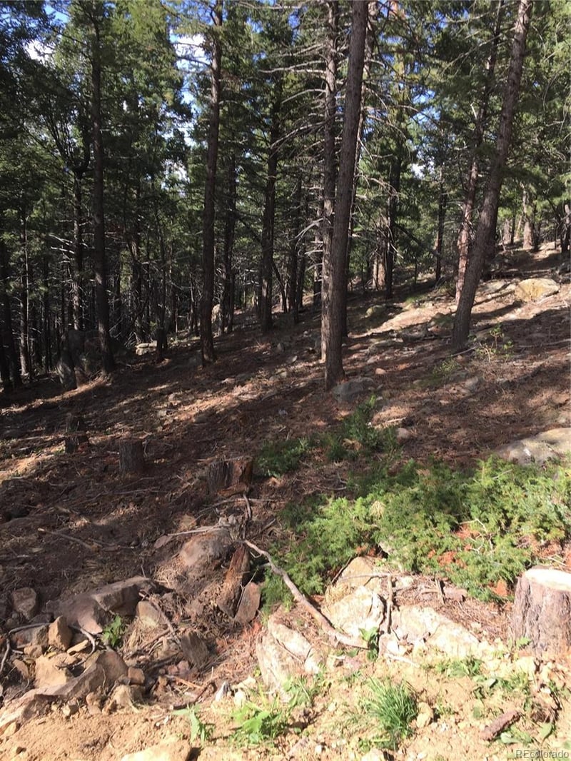 Tbd Elk Mountain Trl, Littleton, CO 80127