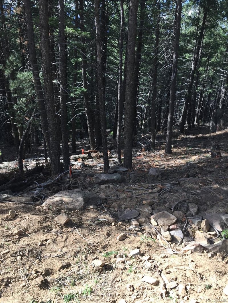 Tbd Elk Mountain Trl, Littleton, CO 80127