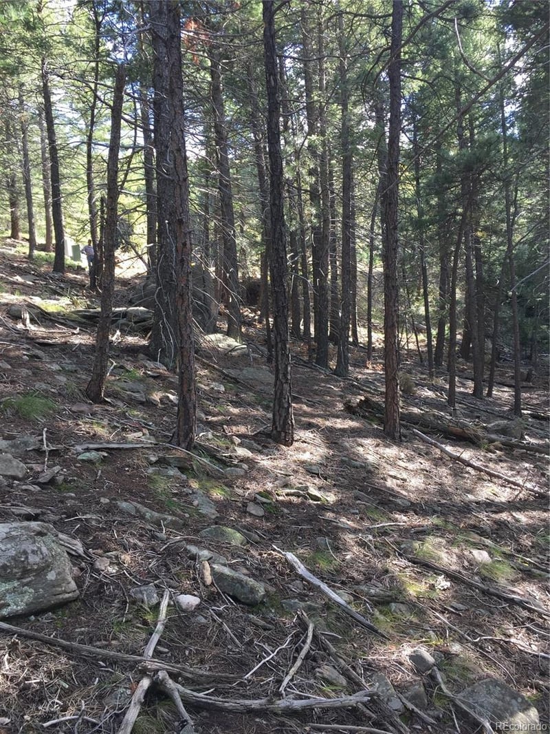 Tbd Elk Mountain Trl, Littleton, CO 80127