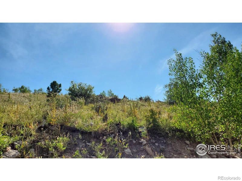 1820 County Road 87j Rd, Jamestown, CO 80455