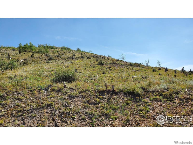 1820 County Road 87j Rd, Jamestown, CO 80455