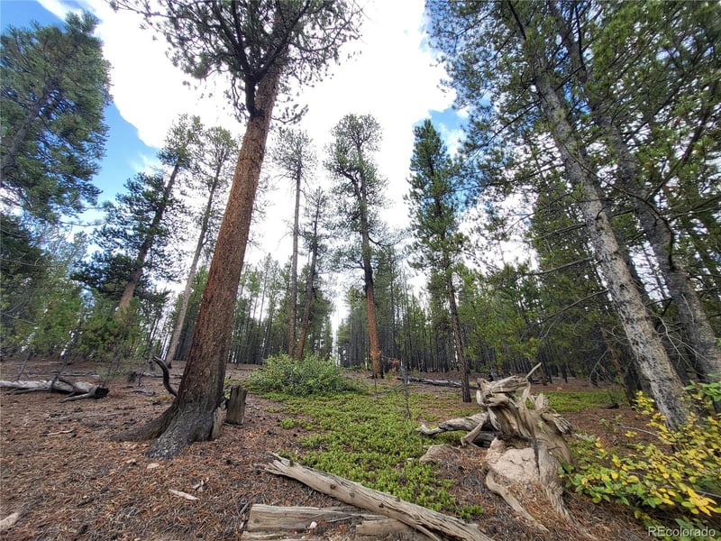 180 Fir Dr, Twin Lakes, CO 80461