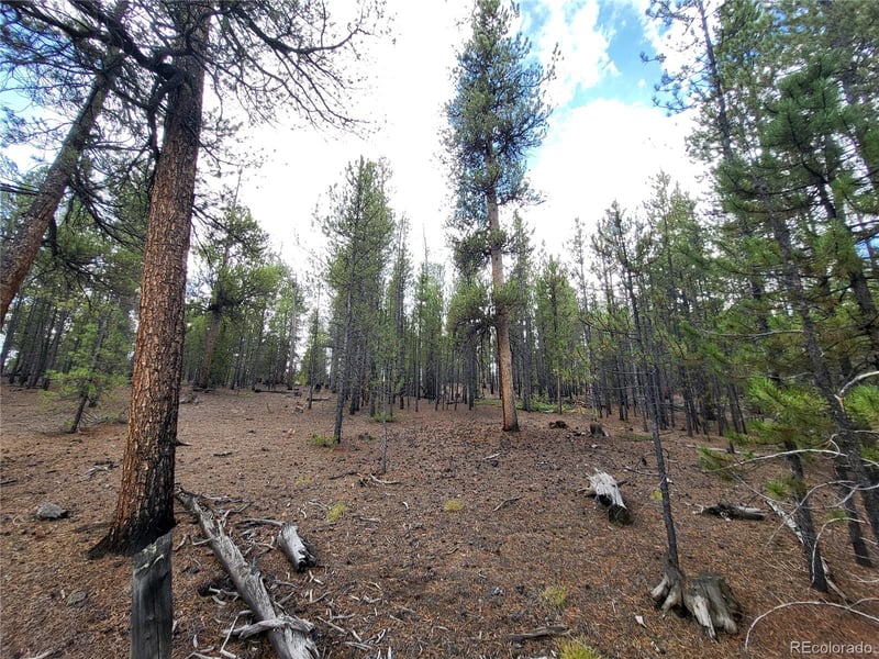 180 Fir Dr, Twin Lakes, CO 80461
