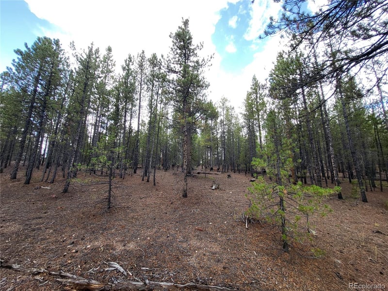 180 Fir Dr, Twin Lakes, CO 80461