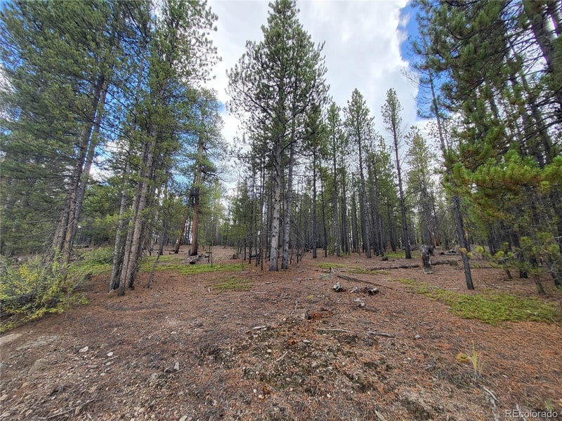 180 Fir Dr, Twin Lakes, CO 80461