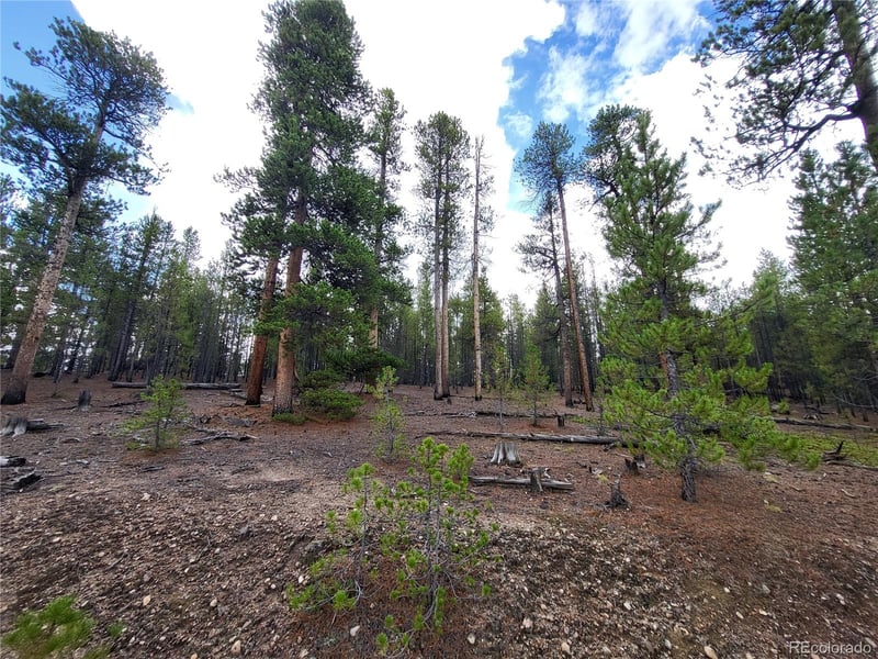 180 Fir Dr, Twin Lakes, CO 80461