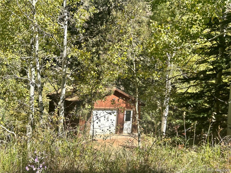 51 Hilltop Rd, Grant, CO 80448