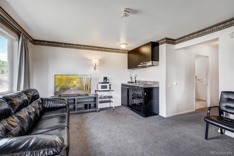 2020 N Poplar St, Leadville, CO 80461